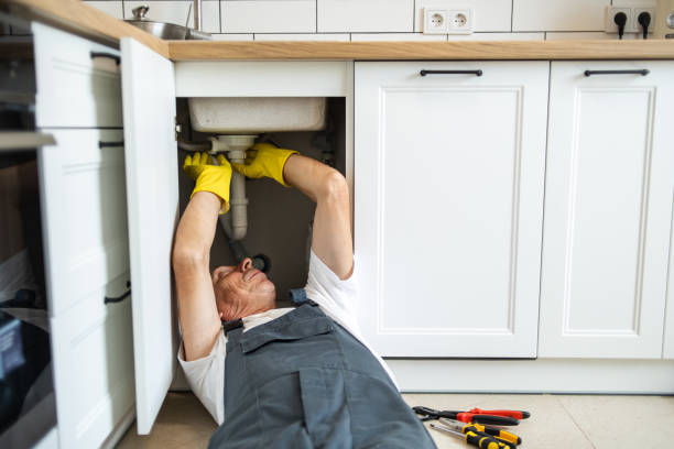 Best Local Plumber Services  in Colfax, WI