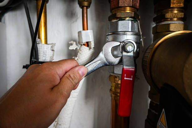 Best Plumbing Inspection Services  in Colfax, WI